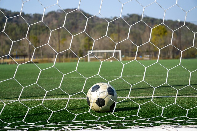 有效的团队 有效的团队