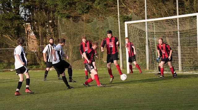 东契奇领衔 东契奇领衔