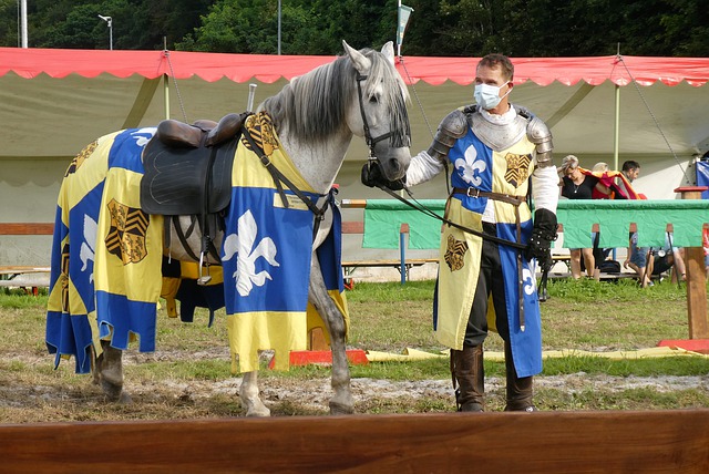 这位全明星 这位全明星